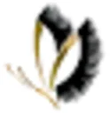 Blinkifly Coupon Codes